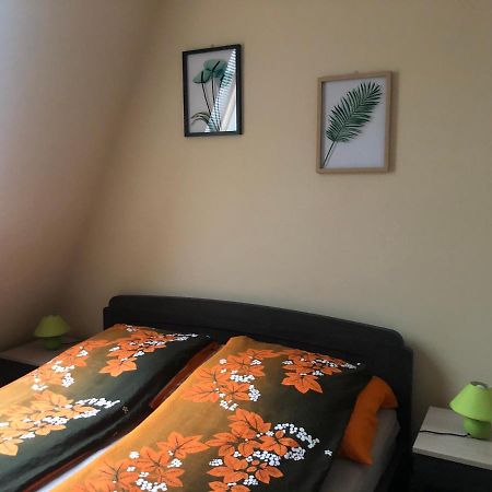 Alina Apartmanok ハイデゥソボスロー エクステリア 写真
